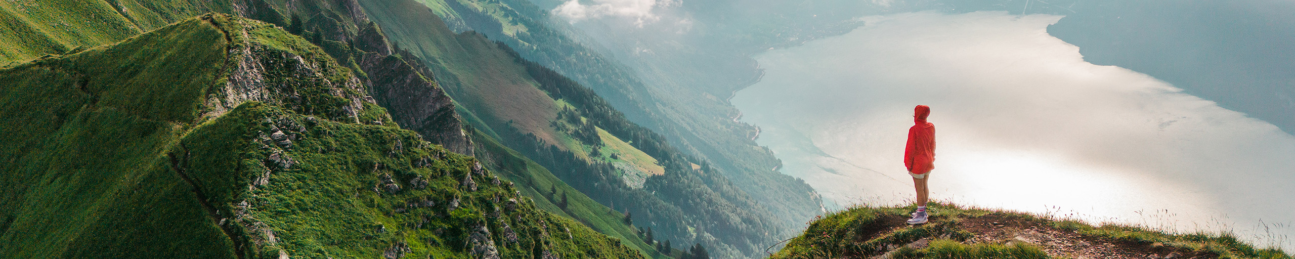 FIMV 2025 page banner 2560x512px.jpg