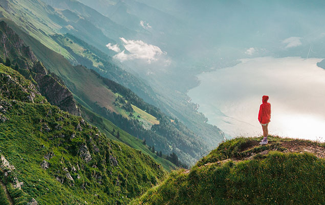 FIMV 2026 image 635x400.jpg