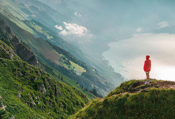 FIMV 2026 image 635x400.jpg