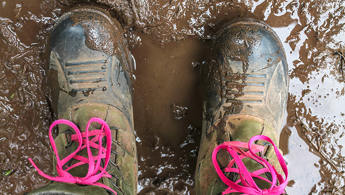 muddy-waters.jpg