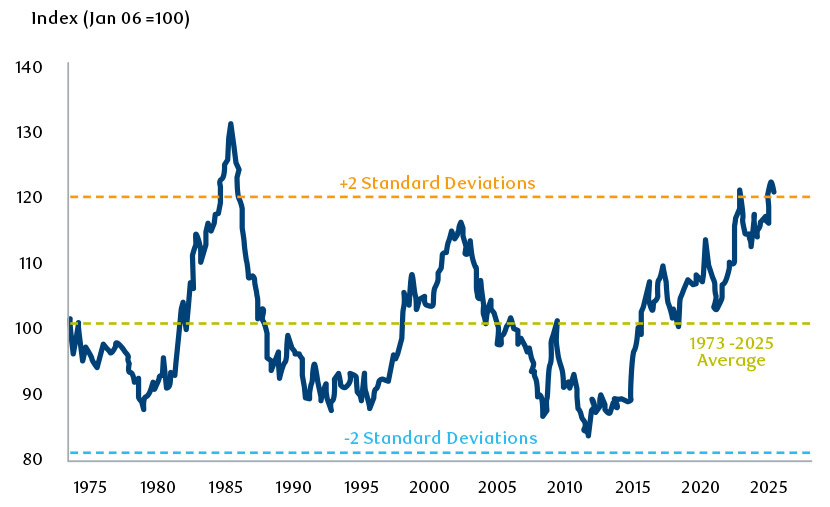 Indice del dollaro reale ponderato per il commercio
